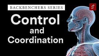 Control and Coordination | Class 10 full Chapter | Class 10 Science Chapter in Animation