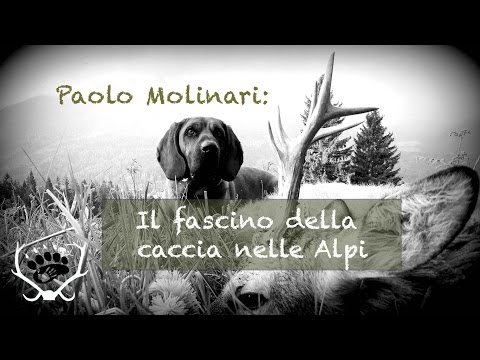 Un cacciatore racconta della sua passione: il fascino della caccia nelle Alpi.