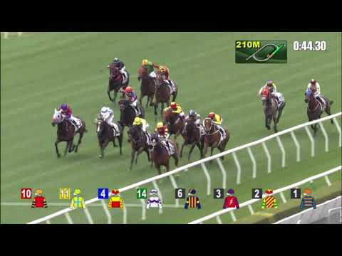 23/1/2022 (356) Kowloon East Star - R Maia