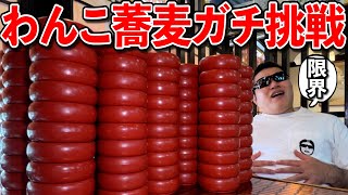 【飯テロ】お店の記録目指して初めてのガチわんこ蕎麦に挑戦！
