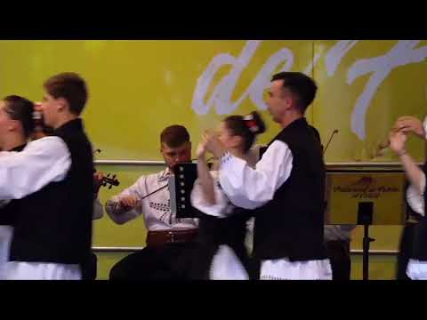 Ansamblul de dansuri populare "Silvana" - Secerișul și Suită de jocuri din Țara Zarandului