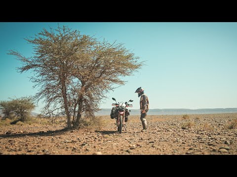 My favorite adventure bike has 25 horse power