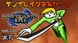 【モンハンRISE】 支店を板に吊るしてギリギリ太るカレーセット！！　＃9【Vtuber】