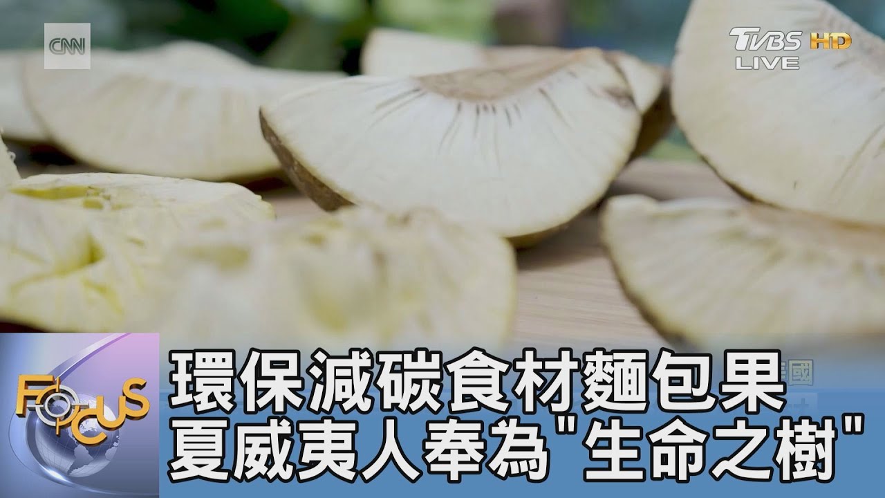 環保減碳食材麵包果 夏威夷人奉為「生命之樹」