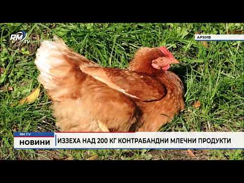 Иззеха над 200 кг контрабандни млечни продукти