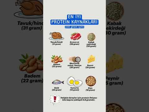 Vücudunuz İçin Hayati: Protein İhtiyacı ve En İyi Protein Kaynakları | Uzm. Dyt. Harika Özkaya