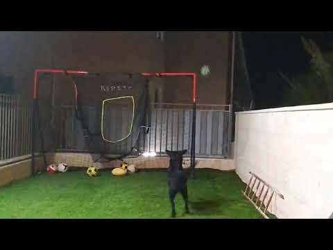 15 בספטמבר 2023