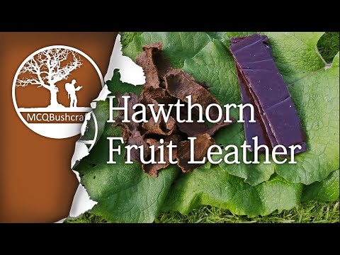 Bushcraft Foraging Berries & Making Fruit Leather
