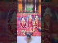 जोगणियाँ माँ Jogniya Mata Rani Status Video Youtubeshorts Viral Shorts