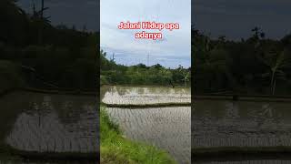 Download lagu jalani hidup apa adanya mp3