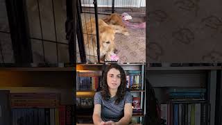 XIXI E COCÔ NO LUGAR CERTO EM POUCOS DIAS