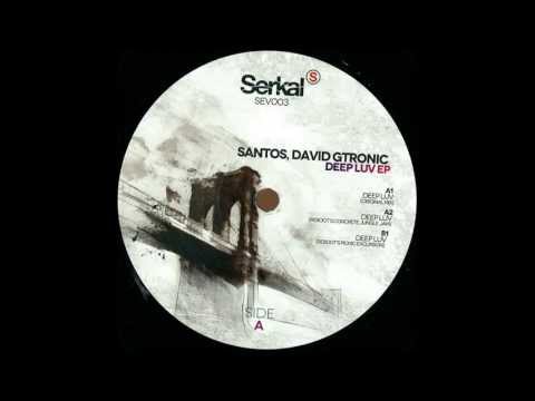 Santos, David Gtronic - Deep Luv (Reboot's Picnic Excursion)