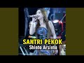 Santri Pekok