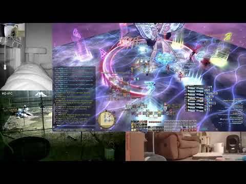 P12S Prog = Brain Rot