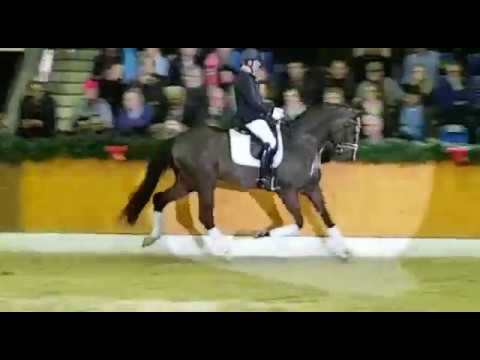 Dante´s Jr. Feb  2018  video