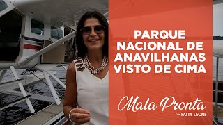 Sobrevoando a Amazônia, maior floresta tropical do mundo | MALA PRONTA