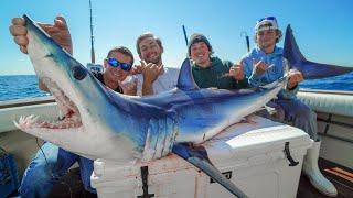 Download lagu Mako SHARK! Catch Clean Cook (Offshore Fishing New York) mp3
