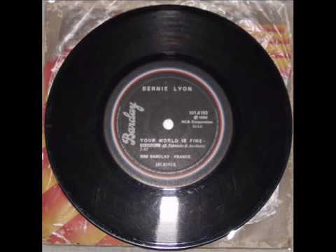 Bernie Lyon   Your world is fine