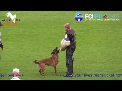 FCI IPO Buy your livestream ticket now!