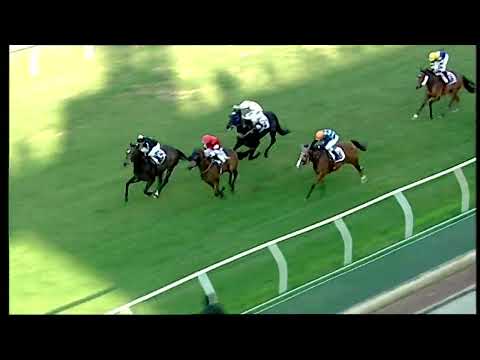 Napoli Galoppo 16/01/2022 - 4ª corsa