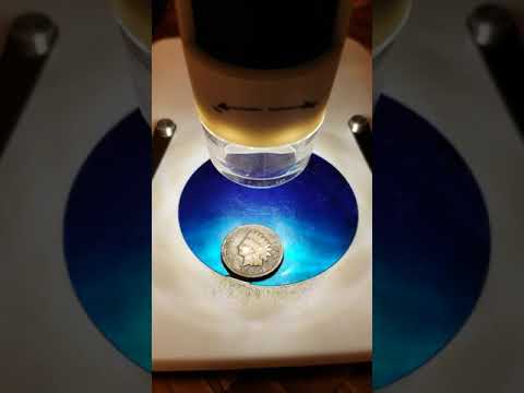 Double or triple die Indian Head coin?