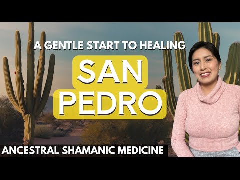 My First San Pedro Experience: Honest Insights for Beginners - Ancestral Shamanic Medicine