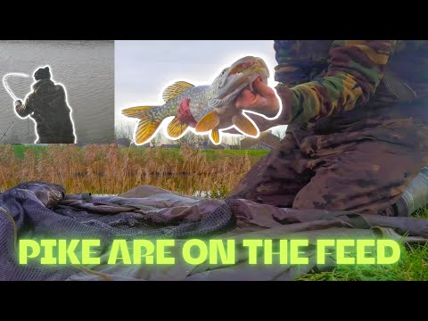 Big result from a big drain! Pike fishing UK