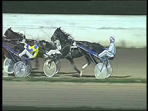 Trotto 01/12/2015 - 5° corsa