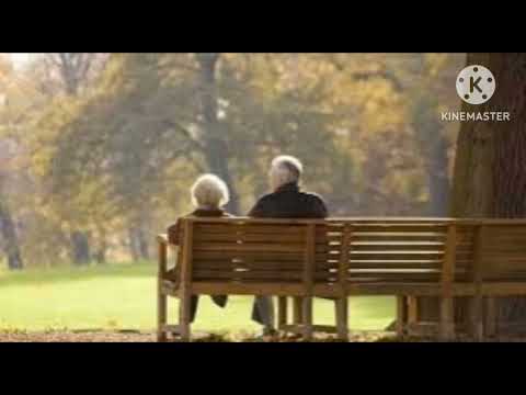 Khúc tình muộn - Trần Lãm