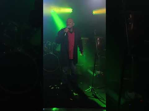 o cachorrinho da vizinha