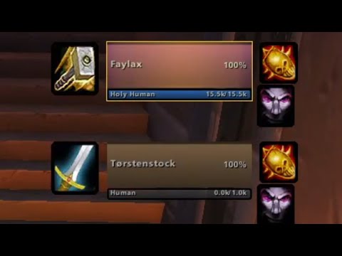 BEST PALADIN IN THE WORLD dominating the mirror matchups