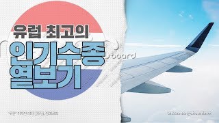 유럽 최고 인기수종 엿보기! 수국, 매자, 목단, 페스티지아타 묘목 등 깔끔한 판매모습 구경하세요~(Dael…
