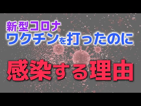 欧州選手権前のコロナ感染者:なぜ多くの代表選手がワクチン接種を受けていないのか?