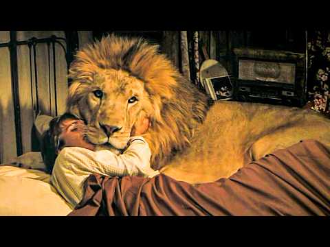 ROAR: The most dangerous film ever made