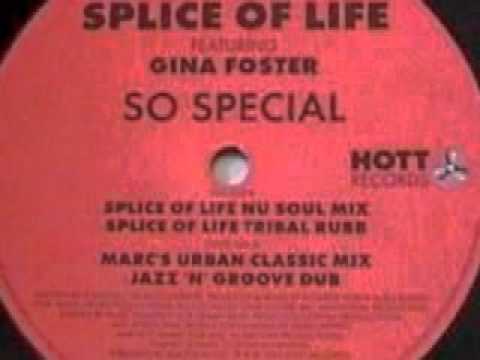 Splice Of Life feat  Gina Foster   So Special   Splice Of Life Nu Soul Mix