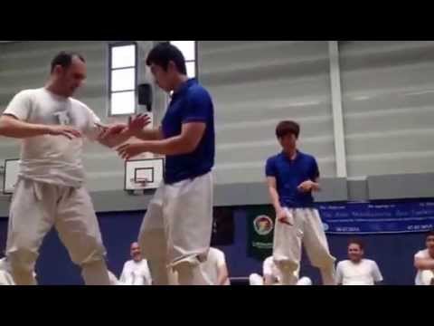 Taekkyon-Übungskampf (nur tiefe Techniken)