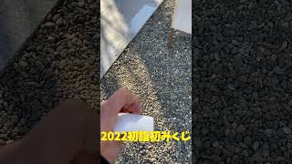 【#shorts 】初詣で引いたおみくじに書いてあったこと