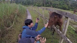 preview picture of video 'BORNEO HIGHLAND SARAWAK'
