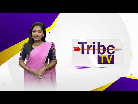 Tribe TV - Read and Watch News video thumbnail