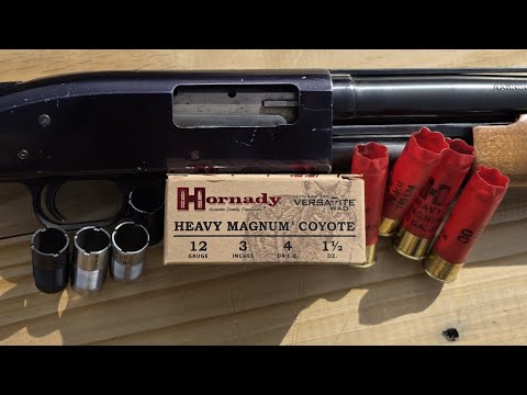 Long Range Shotgun Test! 12 Gauge BB - Hornady Heavy Magnum Coyote