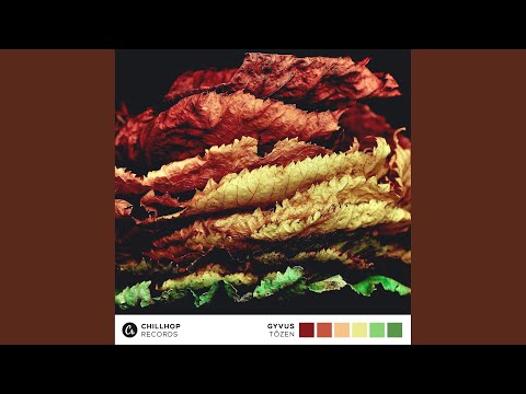 Video thumbnail for Tôzen