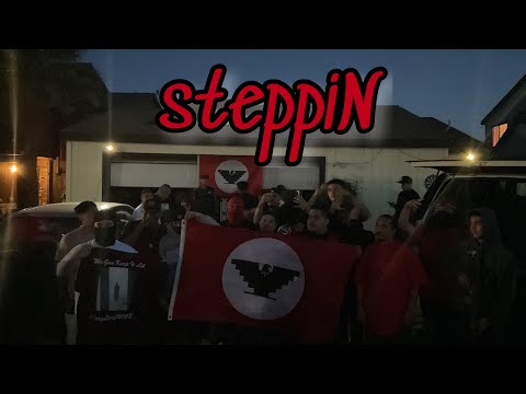 steppiN - TemperMK x BC De Goshen