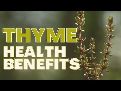 The Health Benefits of Thyme Tea: A Delicious and Nutritious Beverage