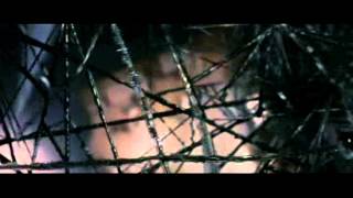 Spiderman 3 (Black Lab - Learn To Crawl)