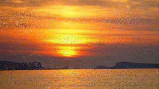 Café Del Mar Music - Memories Of The Seas