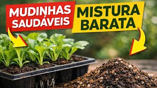 Como fazer SUBSTRATO perfeito para mudas: mistura barata e sem erro