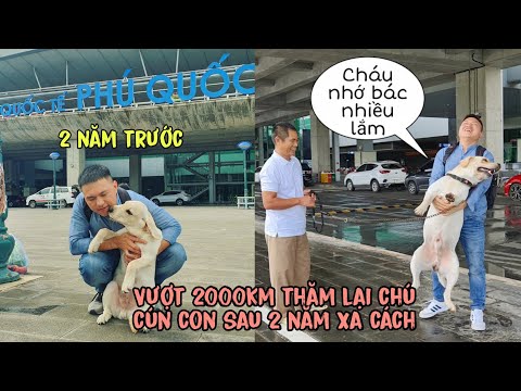 , title : 'Xúc động giây phút gặp lại chú chó Dưa Chuột sau 2 năm xa cách | Dog meet owner after 2 years'