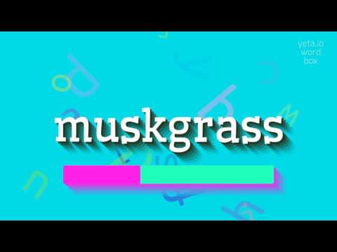 How to say "muskgrass"! (High Quality Voices)