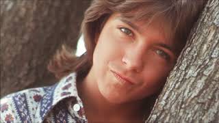 DAVID CASSIDY AND THE PARTRIDGE FAMILY   ECHO VALLEY 2 6809