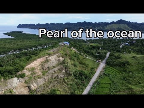 Pearl of the ocean | nice place to visit | Del Mar Mabini, Bohol